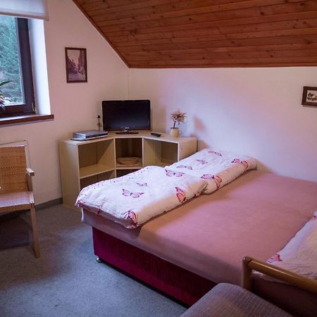 Apartment Harrachov/Riesengebirge 2400 Zewnętrze zdjęcie