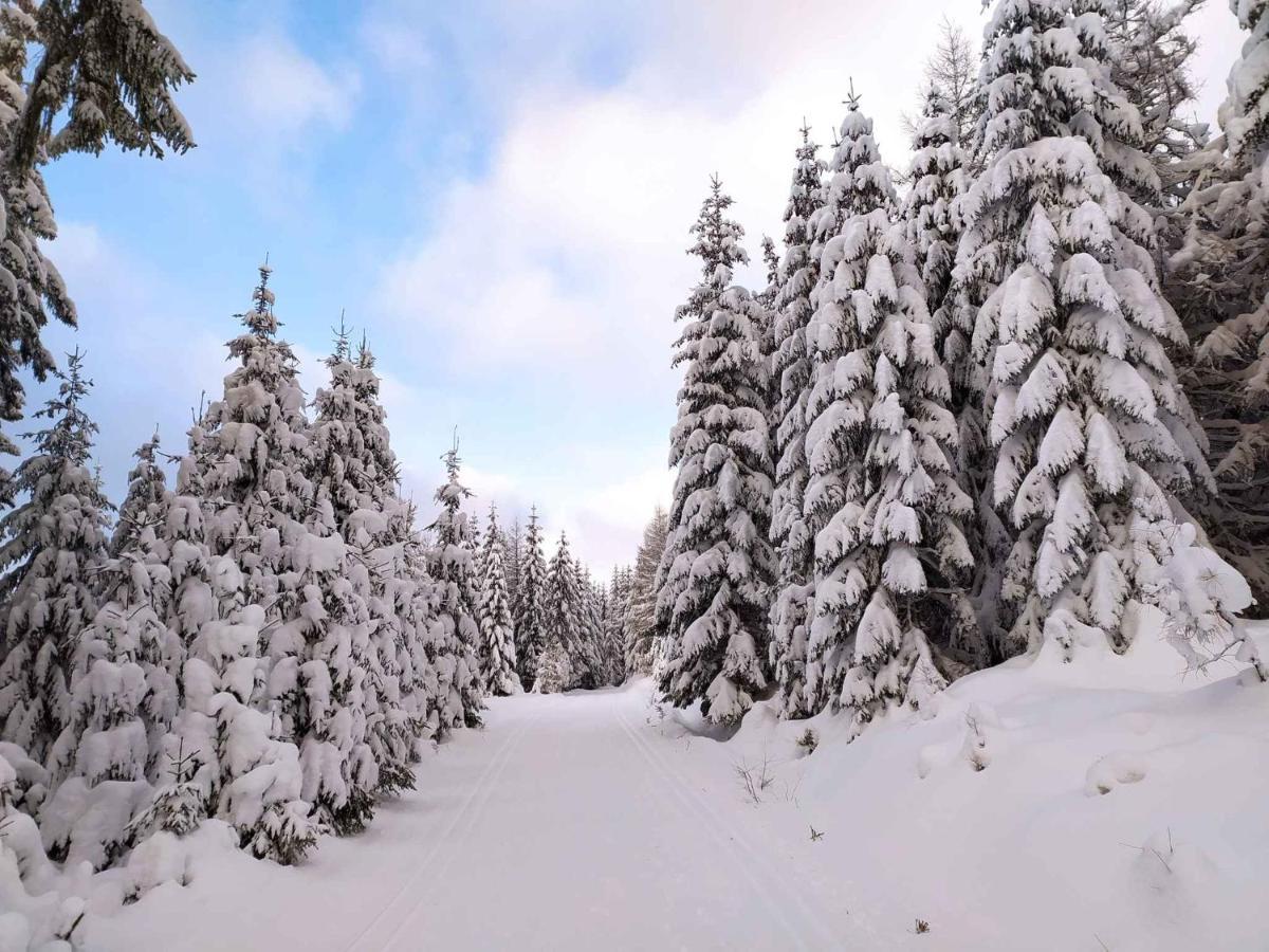 Apartment Harrachov/Riesengebirge 2400 Zewnętrze zdjęcie