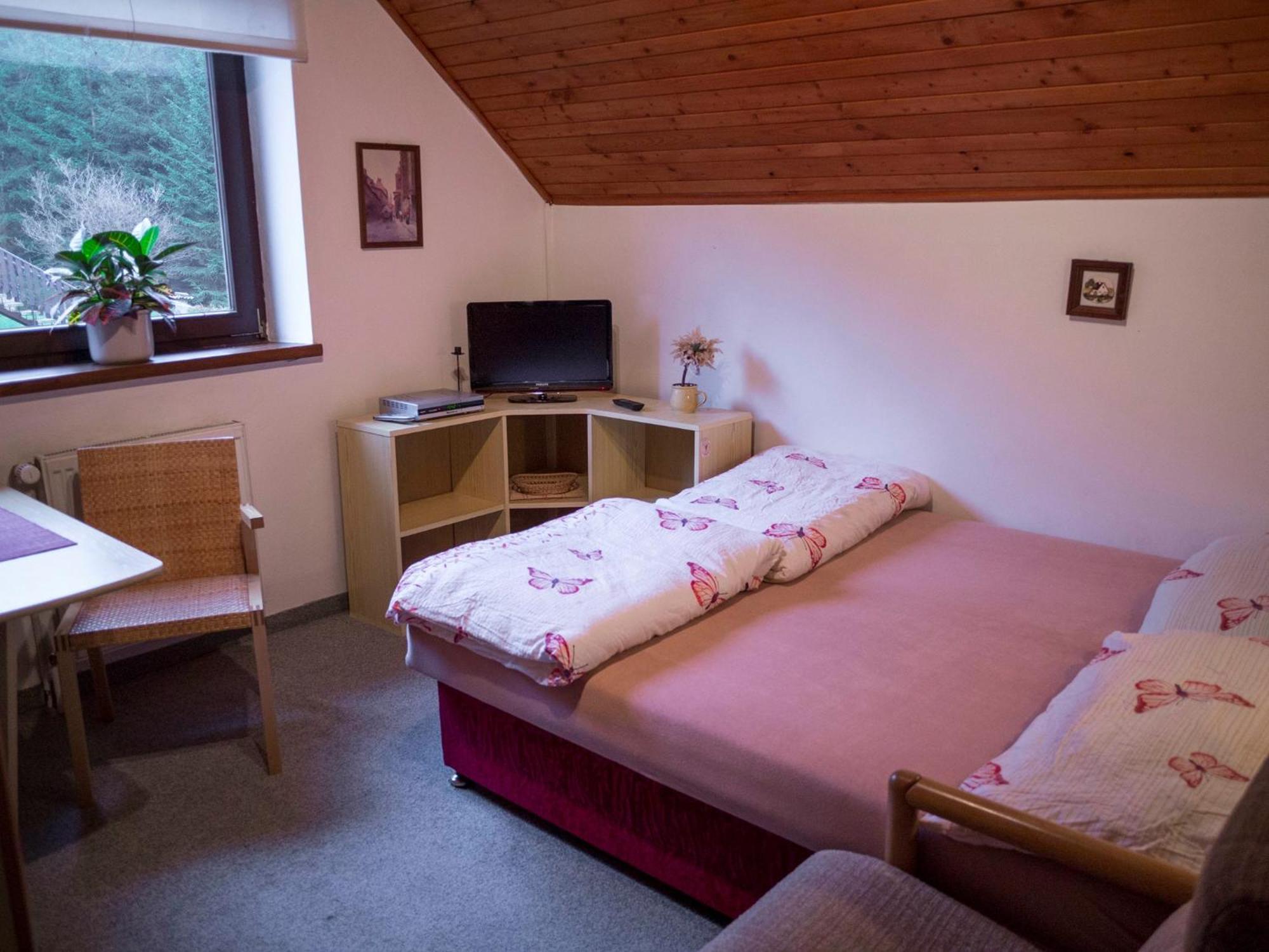 Apartment Harrachov/Riesengebirge 2400 Zewnętrze zdjęcie