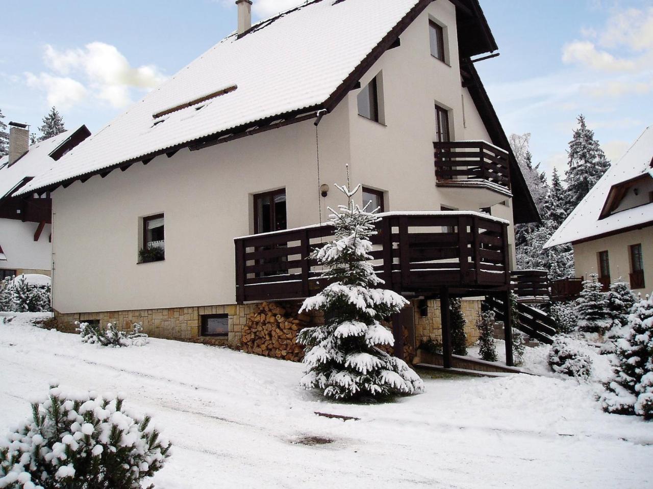 Apartment Harrachov/Riesengebirge 2400 Zewnętrze zdjęcie
